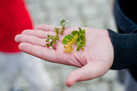 Naturalnie z biblioteką Bulaj