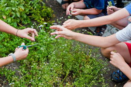 Naturalnie z biblioteką Bulaj