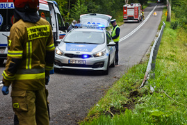 Opel uderzył w drzewo, kierowca miał 1,6 promila