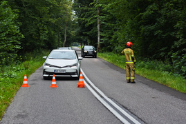 Opel uderzył w drzewo, kierowca miał 1,6 promila