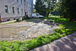 Zieleń niezgody na Nowodworskiej