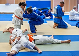 Judocy w Ataku