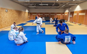 Judocy w Ataku