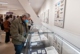 Jak postrzegali i poznawali przyrodę dawni elblążanie?