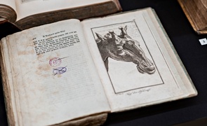 Jak postrzegali i poznawali przyrodę dawni elblążanie?