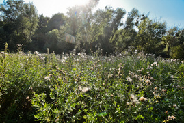 Tak można odkorkować Bema  (opinia) 