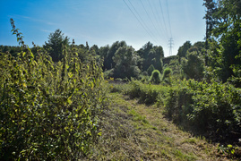 Tak można odkorkować Bema  (opinia) 