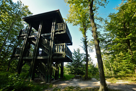 Miejsce, w którym odetchniesz (Do lasu z portElem, odc. 4)