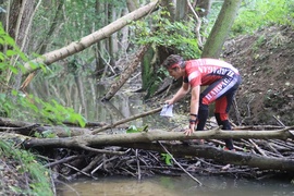 Puchar Elbląga w biegu na orientację