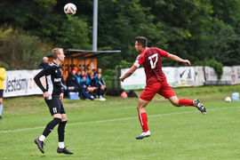 Krótka pucharowa przygoda