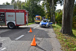 Kierująca renault uderzyła w drzewo