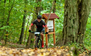 MTB opanowało Bażantarnię
