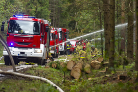 Strażacy ćwiczyli, jak ratować las
