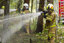Strażacy ćwiczyli, jak ratować las