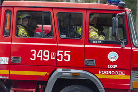 Strażacy ćwiczyli, jak ratować las