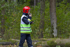 Strażacy ćwiczyli, jak ratować las