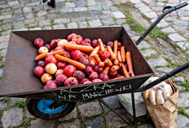 Konie, tradycja i pościg za lisem