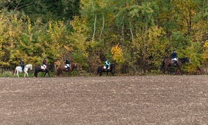 Konie, tradycja i pościg za lisem zdjęcie nr 250317