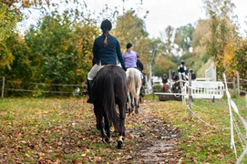 Konie, tradycja i pościg za lisem