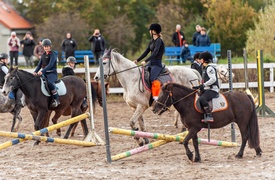 Konie, tradycja i pościg za lisem zdjęcie nr 250346