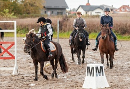 Konie, tradycja i pościg za lisem zdjęcie nr 250345