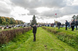 Konie, tradycja i pościg za lisem