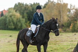 Konie, tradycja i pościg za lisem