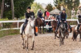 Konie, tradycja i pościg za lisem zdjęcie nr 250347
