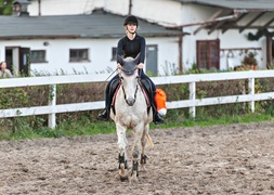 Konie, tradycja i pościg za lisem zdjęcie nr 250341
