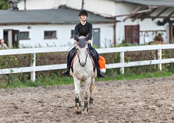 Konie, tradycja i pościg za lisem