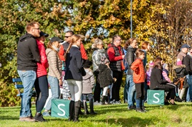 Konie, tradycja i pościg za lisem