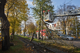 Konar spadł na trakcję. Tramwaje nie jeździły