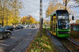 Konar spadł na trakcję. Tramwaje nie jeździły