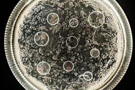 Tanio kupić, drogo sprzedać   (Z historią w tle) 