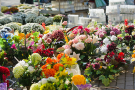 Elblążanie odwiedzają groby bliskich