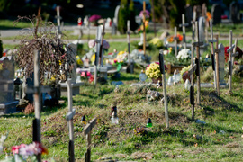 Elblążanie odwiedzają groby bliskich