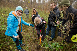 Dla leśnych roślin i zwierząt