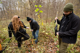 Dla leśnych roślin i zwierząt