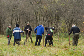 Dla leśnych roślin i zwierząt
