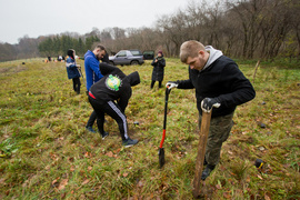 Dla leśnych roślin i zwierząt