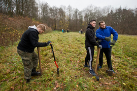 Dla leśnych roślin i zwierząt