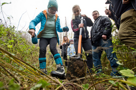 Dla leśnych roślin i zwierząt