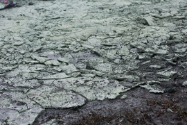 Naprawili tory po pożarze  (aktualizacja) 