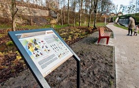 Przedłużają się prace w parku Dolinka