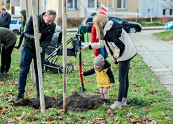 \"To ja posadziłam to drzewo\"