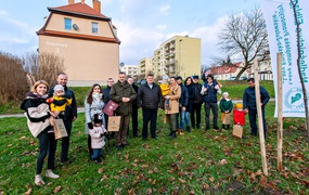 \"To ja posadziłam to drzewo\"