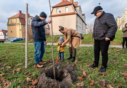 \"To ja posadziłam to drzewo\"