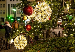 Elbląg w świątecznym wydaniu