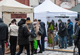 Mikołaj, stragany, koncerty. Trwają Świąteczne Spotkania Elblążan
