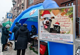 Mikołaj, stragany, koncerty. Trwają Świąteczne Spotkania Elblążan